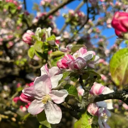 Schoene Helle Dg In Der Altstadt Schwerin